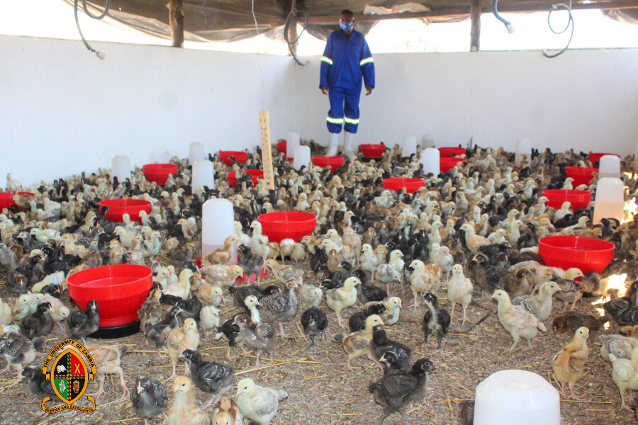 UNZA commissions the Village Chickens Park Project