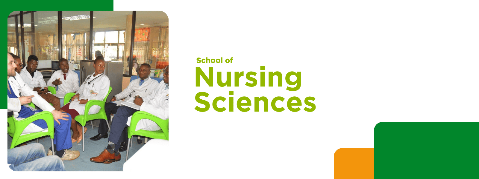 Nursing Sciences