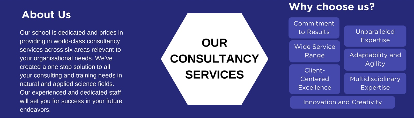 Consultancy Services