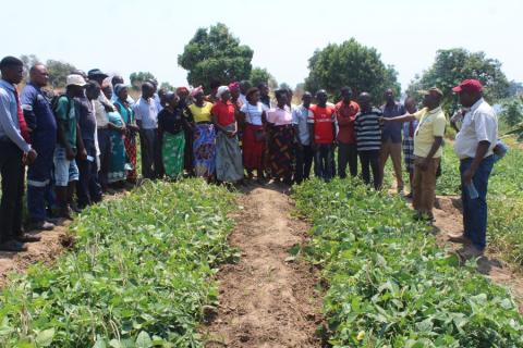 Farmers listening to the presentation